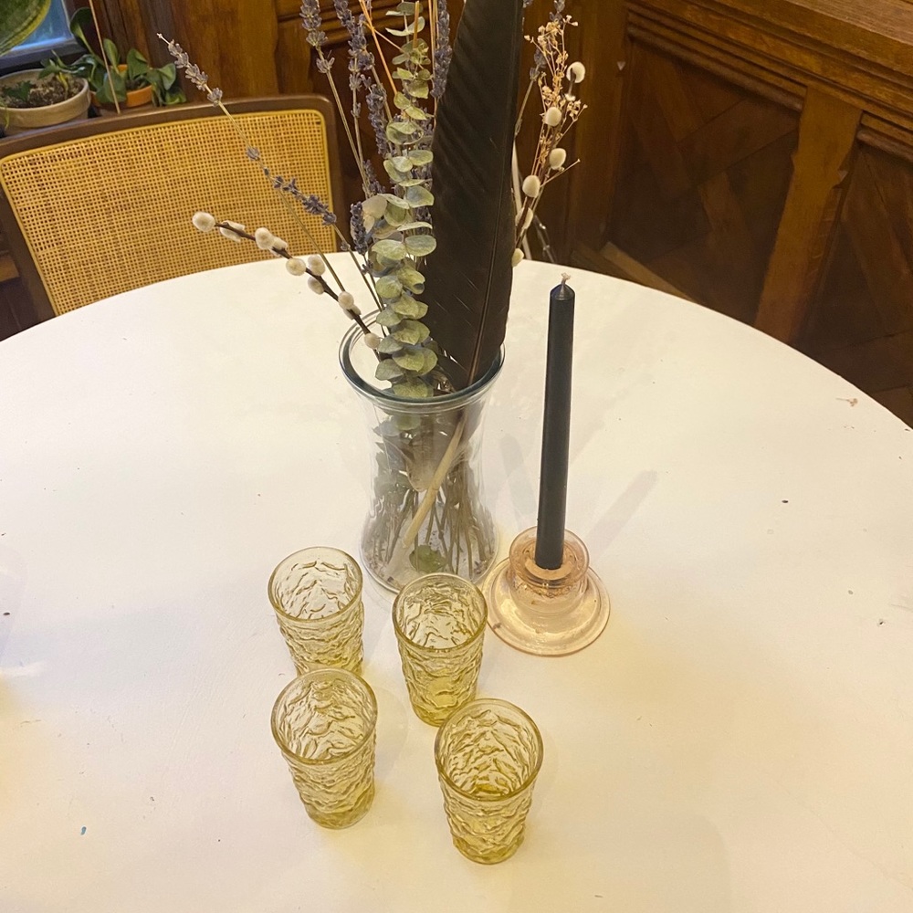 Vintage Mid Century Orange Juice Glasses